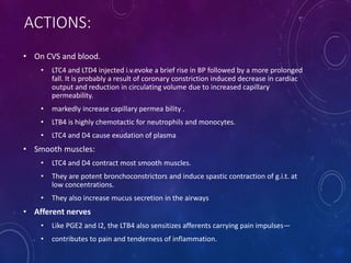 ACTIONS:
• On CVS and blood.
• LTC4 and LTD4 injected i.v.evoke a brief rise in BP followed by a more prolonged
fall. It is probably a result of coronary constriction induced decrease in cardiac
output and reduction in circulating volume due to increased capillary
permeability.
• markedly increase capillary permea bility .
• LTB4 is highly chemotactic for neutrophils and monocytes.
• LTC4 and D4 cause exudation of plasma
• Smooth muscles:
• LTC4 and D4 contract most smooth muscles.
• They are potent bronchoconstrictors and induce spastic contraction of g.i.t. at
low concentrations.
• They also increase mucus secretion in the airways
• Afferent nerves
• Like PGE2 and I2, the LTB4 also sensitizes afferents carrying pain impulses—
• contributes to pain and tenderness of inflammation.
 