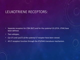 LEUKOTRIENE RECEPTORS:
• Separate receptors for LTB4 (BLT) and for the cysteinyl LTs (LTC4, LTD4) have
been defined.
• Two subtypes,
• Cys LT1 and cysLT2 of the cysteinyl LT receptor have been cloned.
• All LT receptors function through the IP3/DAG transducer mechanism.
 