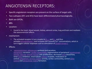 ANGIOTENSIN RECEPTORS:
• Specific angiotensin receptors are present on the surface of target cells.
• Two subtypes (AT1 and AT2) have been differentiated pharmacologically.
• Both are GPCRs.
• AT1:
• Location:
• Found in the heart, blood vessels, kidney, adrenal cortex, lung and brain and mediates
the vasoconstrictor effects.
• mechanism:
• The activated receptor in turn couples to Gq/11 and Gi/o and thus
activates phospholipase C and increases the cytosolic Ca2+ concentrations, which in
turn triggers cellular responses such as stimulation of protein kinase C.
• Effects:
• vasoconstriction, aldosterone synthesis and secretion,
vasopressin secretion, cardiac hypertrophy, augmentation of peripheral noradrenergic
activity, vascular smooth muscle cells proliferation, decreased renal blood flow,
renal renin inhibition, renal tubular sodium reuptake, modulation of
central sympathetic nervous system activity, cardiac contractility, central osmo
control and extracellular matrix formation.
 