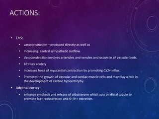 ACTIONS:
• CVS:
• vasoconstriction—produced directly as well as
• Increasing central sympathetic outflow.
• Vasoconstriction involves arterioles and venules and occurs in all vascular beds.
• BP rises acutely
• Increases force of myocardial contraction by promoting Ca2+ influx.
• Promotes the growth of vascular and cardiac muscle cells and may play a role in
the development of cardiac hypeertrophy.
• Adrenal cortex:
• enhance synthesis and release of aldosterone which acts on distal tubule to
promote Na+ reabsorption and K+/H+ excretion.
 