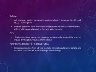 • Kidney:
• A-II promotes Na+/H+ exchange in proximal tubule → increased Na+, Cl– and
HCO3¯ reabsorption.
• Further, it reduces renal blood flow and produces intrarenal haemodynamic
effects which normally result in Na+ and water retention
• CNS
• Angiotensin-II can gain access to certain periventricular areas of the brain to
induce drinking behaviour and ADH release.
• PERIPHERAL SYMPATHETIC STRUCTURES
• Releases adrenaline from adrenal medulla, stimulates autonomic ganglia, and
increases output of NA from adrenergic nerve endings.
 