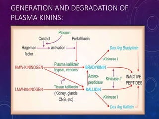 GENERATION AND DEGRADATION OF
PLASMA KININS:
 