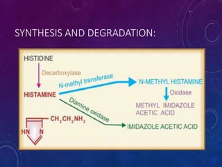 SYNTHESIS AND DEGRADATION:
 