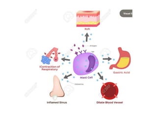 Autacoids Functions Autacoids | PPTX