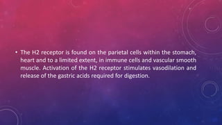 • The H2 receptor is found on the parietal cells within the stomach,
heart and to a limited extent, in immune cells and vascular smooth
muscle. Activation of the H2 receptor stimulates vasodilation and
release of the gastric acids required for digestion.
 