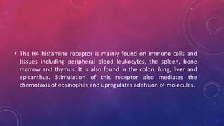 • The H4 histamine receptor is mainly found on immune cells and
tissues including peripheral blood leukocytes, the spleen, bone
marrow and thymus. It is also found in the colon, lung, liver and
epicanthus. Stimulation of this receptor also mediates the
chemotaxis of eosinophils and upregulates adehsion of molecules.
 