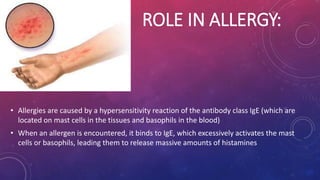 ROLE IN ALLERGY:
• Allergies are caused by a hypersensitivity reaction of the antibody class IgE (which are
located on mast cells in the tissues and basophils in the blood)
• When an allergen is encountered, it binds to IgE, which excessively activates the mast
cells or basophils, leading them to release massive amounts of histamines
 