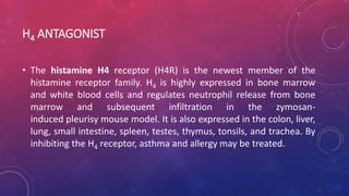 H4 ANTAGONIST
• The histamine H4 receptor (H4R) is the newest member of the
histamine receptor family. H4 is highly expressed in bone marrow
and white blood cells and regulates neutrophil release from bone
marrow and subsequent infiltration in the zymosan-
induced pleurisy mouse model. It is also expressed in the colon, liver,
lung, small intestine, spleen, testes, thymus, tonsils, and trachea. By
inhibiting the H4 receptor, asthma and allergy may be treated.
 