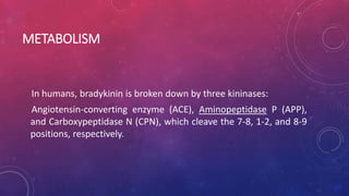 METABOLISM
In humans, bradykinin is broken down by three kininases:
Angiotensin-converting enzyme (ACE), Aminopeptidase P (APP),
and Carboxypeptidase N (CPN), which cleave the 7-8, 1-2, and 8-9
positions, respectively.
 