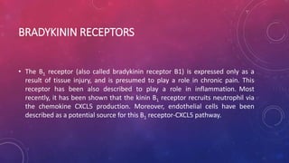 BRADYKININ RECEPTORS
• The B1 receptor (also called bradykinin receptor B1) is expressed only as a
result of tissue injury, and is presumed to play a role in chronic pain. This
receptor has been also described to play a role in inflammation. Most
recently, it has been shown that the kinin B1 receptor recruits neutrophil via
the chemokine CXCL5 production. Moreover, endothelial cells have been
described as a potential source for this B1 receptor-CXCL5 pathway.
 