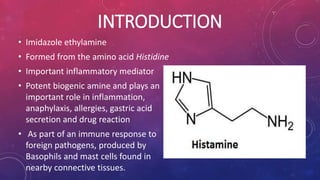 INTRODUCTION
• Imidazole ethylamine
• Formed from the amino acid Histidine
• Important inflammatory mediator
• Potent biogenic amine and plays an
important role in inflammation,
anaphylaxis, allergies, gastric acid
secretion and drug reaction
• As part of an immune response to
foreign pathogens, produced by
Basophils and mast cells found in
nearby connective tissues.
 
