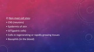 2) Non-mast cell sites:
• CNS (neurons)
• Epidermis of skin
• GIT(gastric cells)
• Cells in regenerating or rapidly growing tissues
• Basophils (in the blood)
 