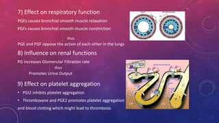 7) Effect on respiratory function 
PGEs causes bronchial smooth muscle relaxation 
PGFs causes bronchial smooth muscle constriction 
thus 
PGE and PGF oppose the action of each other in the lungs 
8) Influence on renal functions 
PG increases Glomerular Filtration rate 
thus 
Promotes Urine Output 
9) Effect on platelet aggregation 
• PGI2 inhibits platelet aggregation 
• Thromboxane and PGE2 promotes platelet aggregation 
and blood clotting which might lead to thrombosis 
 