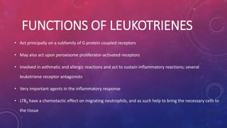 FUNCTIONS OF LEUKOTRIENES 
• Act principally on a subfamily of G protein coupled receptors 
• May also act upon peroxisome proliferator-activated receptors 
• Involved in asthmatic and allergic reactions and act to sustain inflammatory reactions; several 
leukotriene receptor antagonists 
• Very important agents in the inflammatory response 
• LTB4 have a chemotactic effect on migrating neutrophils, and as such help to bring the necessary cells to 
the tissue 
 