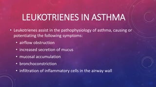 LEUKOTRIENES IN ASTHMA 
• Leukotrienes assist in the pathophysiology of asthma, causing or 
potentiating the following symptoms: 
• airflow obstruction 
• increased secretion of mucus 
• mucosal accumulation 
• bronchoconstriction 
• infiltration of inflammatory cells in the airway wall 
 