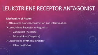 LEUKOTRIENE RECEPTOR ANTAGONIST 
Mechanism of Action: 
• Attenuates bronchoconstriction and inflammation 
Leukotriene Receptor Antagonists 
• Zafirlukast (Accolate) 
• Montelukast (Singulair) 
Leukotriene Synthesis Inhibitor 
• Zileuton (Zyflo) 
 