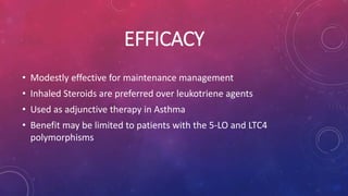EFFICACY 
• Modestly effective for maintenance management 
• Inhaled Steroids are preferred over leukotriene agents 
• Used as adjunctive therapy in Asthma 
• Benefit may be limited to patients with the 5-LO and LTC4 
polymorphisms 
 