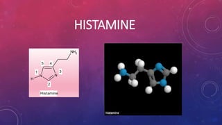 HISTAMINE 
N N 
NH2 
H 
1 
2 
3 
5 4 
Histamine 
 