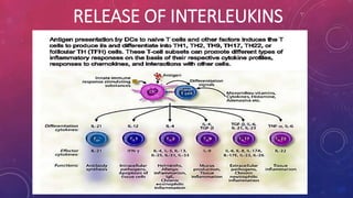 RELEASE OF INTERLEUKINS 
 
