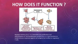 Autacoids Functions Autacoids | PPTX