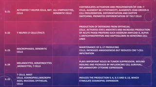 IL-21 
ACTIVATED T HELPER CELLS, NKT 
CELLS 
ALL LYMPHOCYTES, 
DENDRITIC CELLS 
COSTIMULATES ACTIVATION AND PROLIFERATION OF CD8+ T 
CELLS, AUGMENT NK CYTOTOXICITY, AUGMENTS CD40-DRIVEN B 
CELL PROLIFERATION, DIFFERENTIATION AND ISOTYPE 
SWITCHING, PROMOTES DIFFERENTIATION OF TH17 CELLS 
IL-22 T HELPER 17 CELLS (TH17) 
PRODUCTION OF DEFENSINS FROM EPITHELIAL 
CELLS. ACTIVATES STAT1 ANDSTAT3 AND INCREASES PRODUCTION 
OF ACUTE PHASE PROTEINS SUCH ASSERUM AMYLOID A, ALPHA 
1-ANTICHYMOTRYPSIN AND HAPTOGLOBIN IN HEPATOMA CELL 
LINES 
IL-23 
MACROPHAGES, DENDRITIC 
CELLS 
MAINTENANCE OF IL-17 PRODUCING 
CELLS, INCREASES ANGIOGENESIS BUT REDUCES CD8 T-CELL 
INFILTRATION 
IL-24 
MELANOCYTES, KERATINOCYTES 
,MONOCYTES, T CELLS 
PLAYS IMPORTANT ROLES IN TUMOR SUPPRESSION, WOUND 
HEALING AND PSORIASIS BY INFLUENCING CELL SURVIVAL, 
INFLAMMATORY CYTOKINE EXPRESSION. 
IL-25 
T CELLS, MAST 
CELLS, EOSINOPHILS,MACROPH 
AGES, MUCOSAL EPITHELIAL 
CELLS 
INDUCES THE PRODUCTION IL-4, IL-5 AND IL-13, WHICH 
STIMULATE EOSINOPHIL EXPANSION 
 