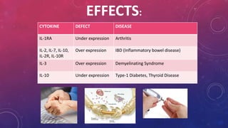EFFECTS: 
CYTOKINE DEFECT DISEASE 
IL-1RA Under expression Arthritis 
IL-2, IL-7, IL-10, 
IL-2R, IL-10R 
Over expression IBD (Inflammatory bowel disease) 
IL-3 Over expression Demyelinating Syndrome 
IL-10 Under expression Type-1 Diabetes, Thyroid Disease 
 
