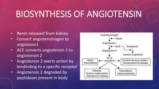 BIOSYNTHESIS OF ANGIOTENSIN 
• Renin released from kidney 
• Convert angiotensinogen to 
angiotesin1 
• ACE converts angiotensin 1 to 
angiotensin 2 
• Angiotensin 2 exerts action by 
bindinding to a specific receptor 
• Angiotensin 2 degraded by 
peptidases present in body 
 
