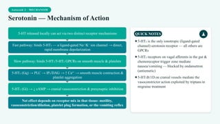 Autocoid 2 · MECHANISM
Serotonin — Mechanism of Action
5-HT released locally can act via two distinct receptor mechanisms
Fast pathway: binds 5-HT₃ — a ligand-gated Na⁺/K⁺ ion channel → direct,
rapid membrane depolarization
Slow pathway: binds 5-HT₁/5-HT₂ GPCRs on smooth muscle & platelets
5-HT₂ (Gq) → PLC → IP₃/DAG → ↑ Ca²⁺ → smooth muscle contraction &
platelet aggregation
5-HT₁ (Gi) → ↓ cAMP → cranial vasoconstriction & presynaptic inhibition
Net effect depends on receptor mix in that tissue: motility,
vasoconstriction/dilation, platelet plug formation, or the vomiting reflex
QUICK NOTES
✦5-HT₃ is the only ionotropic (ligand-gated
channel) serotonin receptor — all others are
GPCRs
✦5-HT₃ receptors on vagal afferents in the gut &
chemoreceptor trigger zone mediate
nausea/vomiting — blocked by ondansetron
(antiemetic)
✦5-HT₁B/1D on cranial vessels mediate the
vasoconstrictor action exploited by triptans in
migraine treatment
 
