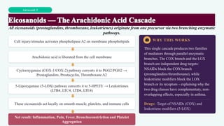 Autocoid 3
All eicosanoids (prostaglandins, thromboxane, leukotrienes) originate from one precursor via two branching enzymatic
pathways.
Cell injury/stimulus activates phospholipase A2 on membrane phospholipids
Arachidonic acid is liberated from the cell membrane
Cyclooxygenase (COX-1/COX-2) pathway converts it to PGG2/PGH2 →
Prostaglandins, Prostacyclin, Thromboxane A2
5-Lipoxygenase (5-LOX) pathway converts it to 5-HPETE → Leukotrienes
(LTB4, LTC4, LTD4, LTE4)
These eicosanoids act locally on smooth muscle, platelets, and immune cells
Net result: Inflammation, Pain, Fever, Bronchoconstriction and Platelet
Aggregation
WHY THIS WORKS
This single cascade produces two families
of mediators through parallel enzymatic
branches. The COX branch and the LOX
branch are independent drug targets:
NSAIDs block the COX branch
(prostaglandins/thromboxane), while
leukotriene modifiers block the LOX
branch or its receptors - explaining why the
two drug classes have complementary, non-
overlapping effects, especially in asthma.
Drugs: Target of NSAIDs (COX) and
leukotriene modifiers (5-LOX)
 