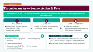 Autocoid 3B
RELEASED
✦Synthesized in activated platelets
from PGH₂ via COX-1 +
thromboxane synthase
ACTS ON
✦Binds TP receptors (Gq) on platelets
& vascular smooth muscle
INACTIVATED BY
✦Chemically unstable —
spontaneously hydrolyzes to inactive
TXB₂ within ~30 seconds
PHYSIOLOGY
✦Promotes platelet aggregation — essential for primary
hemostasis
✦Causes vasoconstriction
✦Opposes prostacyclin (PGI₂) — the two maintain
vascular/platelet balance
CLINICAL CORRELATION
✦Low-dose aspirin irreversibly inhibits platelet COX-1 →
↓ TXA₂ for the platelet's lifespan → antiplatelet effect
✦Excess TXA₂ activity contributes to arterial thrombosis
Thromboxane A₂ is a COX-derived eicosanoid synthesized by platelets that promotes platelet aggregation and
vasoconstriction.
 