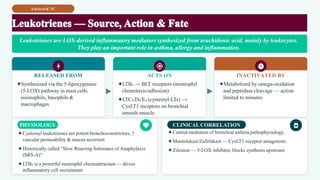Autocoid 3C
RELEASED FROM
✦Synthesized via the 5-lipoxygenase
(5-LOX) pathway in mast cells,
eosinophils, basophils &
macrophages
ACTS ON
✦LTB₄ → BLT receptors (neutrophil
chemotaxis/adhesion)
✦LTC₄/D₄/E₄ (cysteinyl-LTs) →
CysLT1 receptors on bronchial
smooth muscle
INACTIVATED BY
✦Metabolized by omega-oxidation
and peptidase cleavage — action
limited to minutes
PHYSIOLOGY
✦Cysteinyl leukotrienes are potent bronchoconstrictors, ↑
vascular permeability & mucus secretion
✦Historically called “Slow Reacting Substance of Anaphylaxis
(SRS-A)”
✦LTB₄ is a powerful neutrophil chemoattractant — drives
inflammatory cell recruitment
CLINICAL CORRELATION
✦Central mediators of bronchial asthma pathophysiology
✦Montelukast/Zafirlukast — CysLT1 receptor antagonists
✦Zileuton — 5-LOX inhibitor, blocks synthesis upstream
Leukotrienes are LOX-derived inflammatory mediators synthesized from arachidonic acid, mainly by leukocytes.
They play an important role in asthma, allergy and inflammation.
 