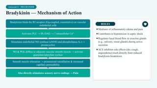 Autocoid 4 · MECHANISM
Bradykinin — Mechanism of Action
Bradykinin binds the B2 receptor (Gq-coupled, constitutive) on vascular
endothelial cells
Activates PLC → IP₃/DAG → ↑ intracellular Ca²⁺
Stimulates endothelial NO synthase (eNOS) and phospholipase A₂ (→
prostacyclin)
NO & PGI₂ diffuse to adjacent vascular smooth muscle → activate
guanylate/adenylate cyclase
Smooth muscle relaxation → pronounced vasodilation & increased
capillary permeability
Also directly stimulates sensory nerve endings → Pain
ROLES
✦Mediator of inflammatory edema and pain
✦Contributes to hypotension in septic shock
✦Regulates local blood flow in exocrine glands
(e.g., salivary, sweat glands) during active
secretion
✦ACE inhibitor side effects (dry cough,
angioedema) result directly from reduced
bradykinin breakdown
 
