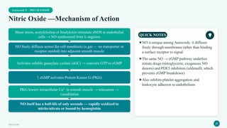 Autocoid 5 · MECHANISM
Nitric Oxide —Mechanism of Action
Shear stress, acetylcholine or bradykinin stimulate eNOS in endothelial
cells → NO synthesized from L-arginine
NO freely diffuses across the cell membrane (a gas — no transporter or
receptor needed) into adjacent smooth muscle
Activates soluble guanylate cyclase (sGC) → converts GTP to cGMP
↑ cGMP activates Protein Kinase G (PKG)
PKG lowers intracellular Ca²⁺ in smooth muscle → relaxation →
vasodilation
NO itself has a half-life of only seconds — rapidly oxidized to
nitrite/nitrate or bound by hemoglobin
QUICK NOTES
✦NO is unique among Autocoids: it diffuses
freely through membranes rather than binding
a surface receptor to signal
✦The same NO → cGMP pathway underlies
nitrate drugs (nitroglycerin, exogenous NO
donors) and PDE5 inhibitors (sildenafil, which
prevents cGMP breakdown)
✦Also inhibits platelet aggregation and
leukocyte adhesion to endothelium
Nitric Oxide 27
 
