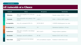 SYNTHESIS
Autocoid Source Receptor(s) Inactivation
Histamine
Mast cells, basophils, ECL cells (pre-
formed)
H1–H4 Diamine oxidase, HNMT (~1 min)
Serotonin
Enterochromaffin cells, platelets, CNS
neurons
5-HT1–7 MAO → 5-HIAA; SERT reuptake
Prostaglandins Any cell, on demand (COX-1/2) EP, FP, DP, IP 15-OH-PG dehydrogenase (sec–min)
Thromboxane A₂ Activated platelets TP Spontaneous hydrolysis (~30 sec)
Leukotrienes
Mast cells, eosinophils, macrophages
(5-LOX)
BLT, CysLT1 Omega-oxidation, peptidases
Bradykinin Kininogen, cleaved by kallikrein B1, B2 Kininase I & II / ACE (~15 sec)
Nitric Oxide
Endothelium/neurons/macrophages
(NOS)
sGC (no membrane receptor) Oxidation to nitrite/nitrate (sec)
 