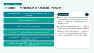 Autocoid 1 · MECHANISM
Histamine — Mechanism of Action (H1 Pathway)
Histamine binds the H1 receptor (Gq-protein coupled) on target cell
membrane
Activates phospholipase C (PLC)
PLC cleaves PIP₂ into IP₃ and DAG
IP₃ releases Ca²⁺ from the endoplasmic/sarcoplasmic reticulum
↑ Intracellular Ca²⁺ → smooth muscle contraction (bronchi, gut) &
endothelial gap formation
Endothelium also releases NO → adjacent vascular smooth muscle
relaxes → Vasodilation & Flare
QUICK NOTES
✦H1 activation on endothelium and H1 activation
on smooth muscle produce opposite mechanical
effects — vasodilation vs bronchoconstriction —
both via Gq/Ca²⁺
✦H2 receptors instead couple to Gs → ↑ cAMP →
gastric acid secretion & mild cardiac stimulation
✦This combination (↑ permeability + vasodilation
+ smooth muscle spasm) produces the classic
“triple response of Lewis”: flush, flare, wheal
 