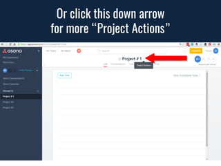 [Easy] How to use Asana for Beginners | PDF