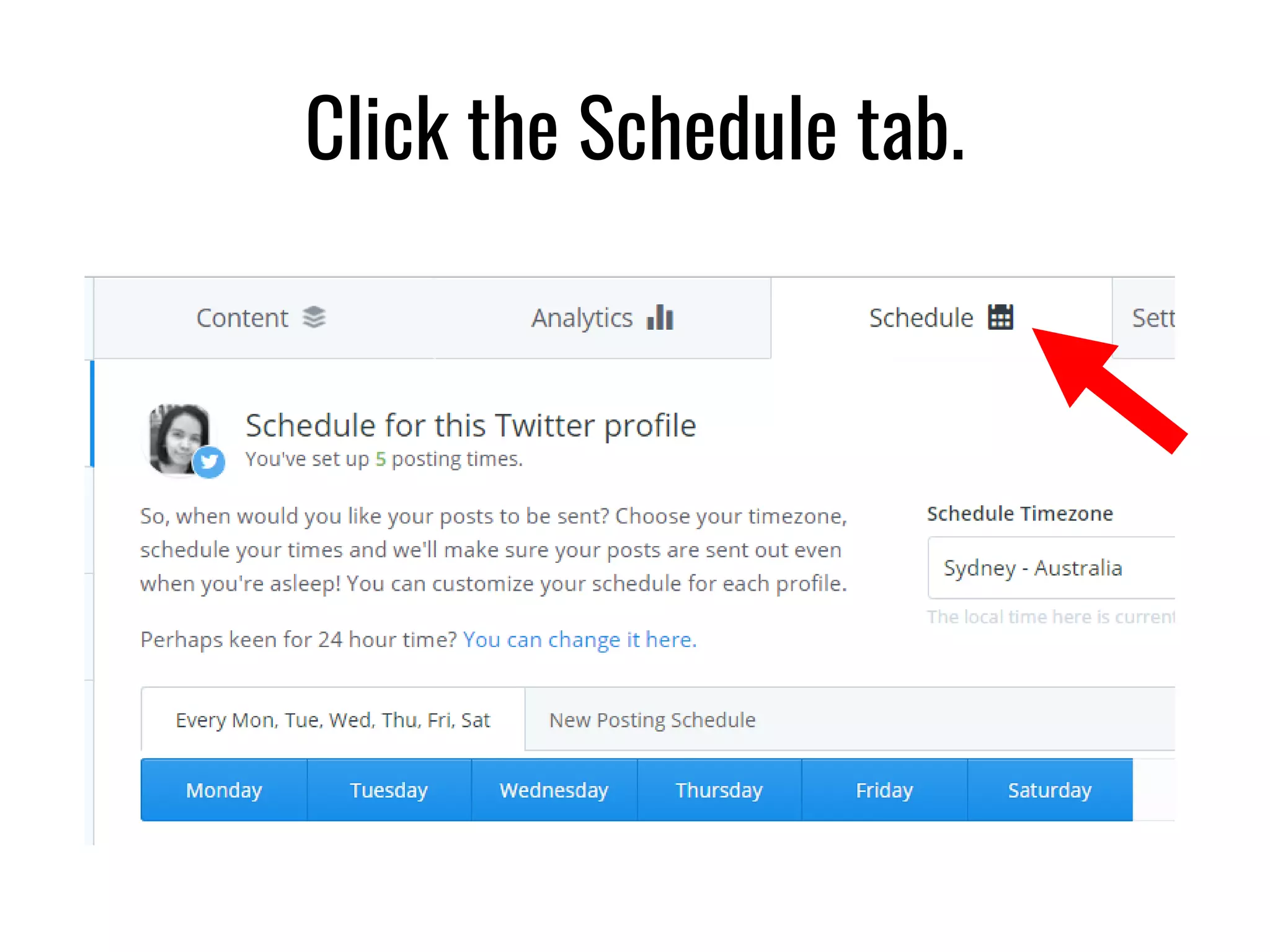 Click the Schedule tab.
 