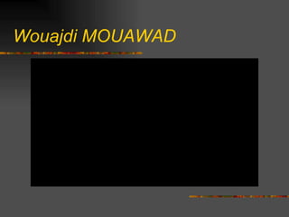 Wouajdi MOUAWAD 