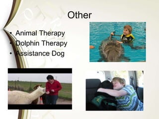 Other
• Animal Therapy
• Dolphin Therapy
• Assistance Dog
 