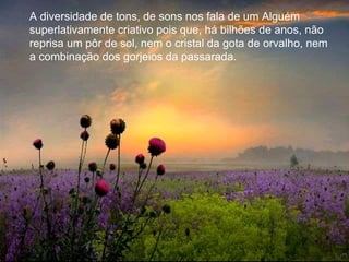 A diversidade de tons, de sons nos fala de um Alguém superlativamente criativo pois que, há bilhões de anos, não reprisa um pôr de sol, nem o cristal da gota de orvalho, nem a combinação dos gorjeios da passarada. 