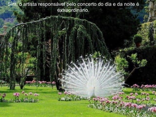 Sim, o artista responsável pelo concerto do dia e da noite é extraordinário. 