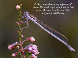 Os homens afirmam que jamais O viram. Mas todos podem admirar Sua obra. Mesmo aqueles que Lhe negam a existência. 