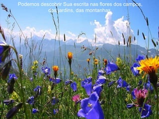 Podemos descobrir Sua escrita nas flores dos campos, dos jardins, das montanhas. 