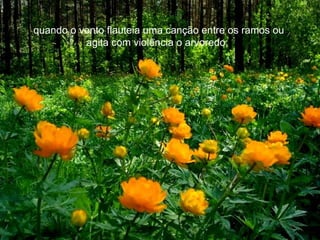 quando o vento flauteia uma canção entre os ramos ou agita com violência o arvoredo;  