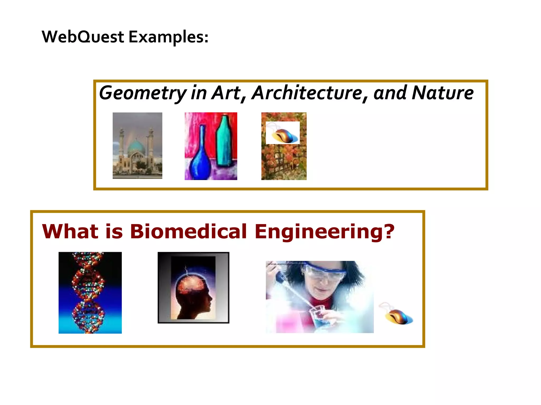 What is Biomedical Engineering?   WebQuest Examples: Geometry in Art, Architecture, and Nature 