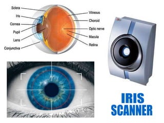 IRIS SCANNER