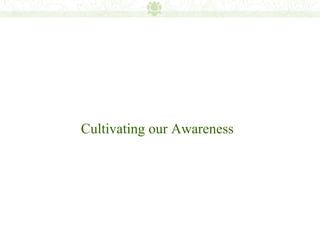 Cultivating our Awareness
 