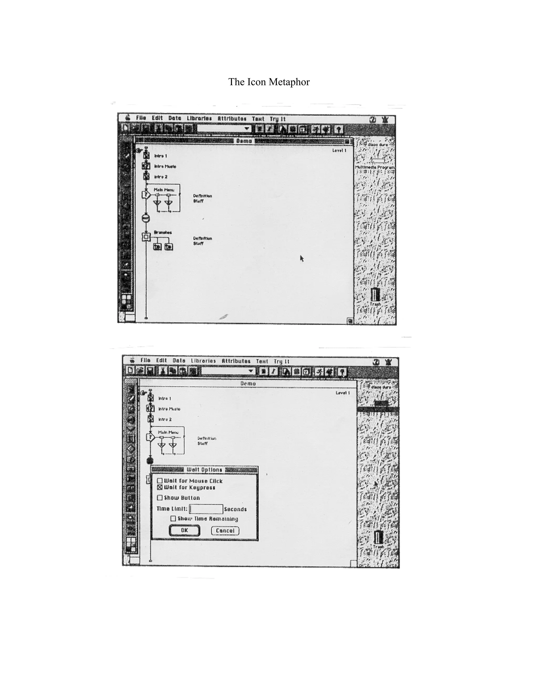 The Icon Metaphor
 