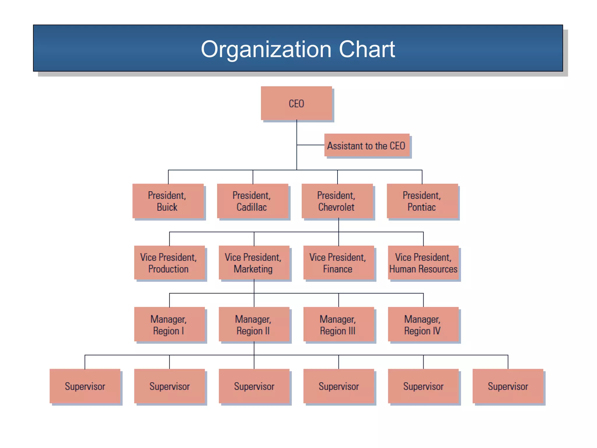 Organization ChartOrganization Chart
 