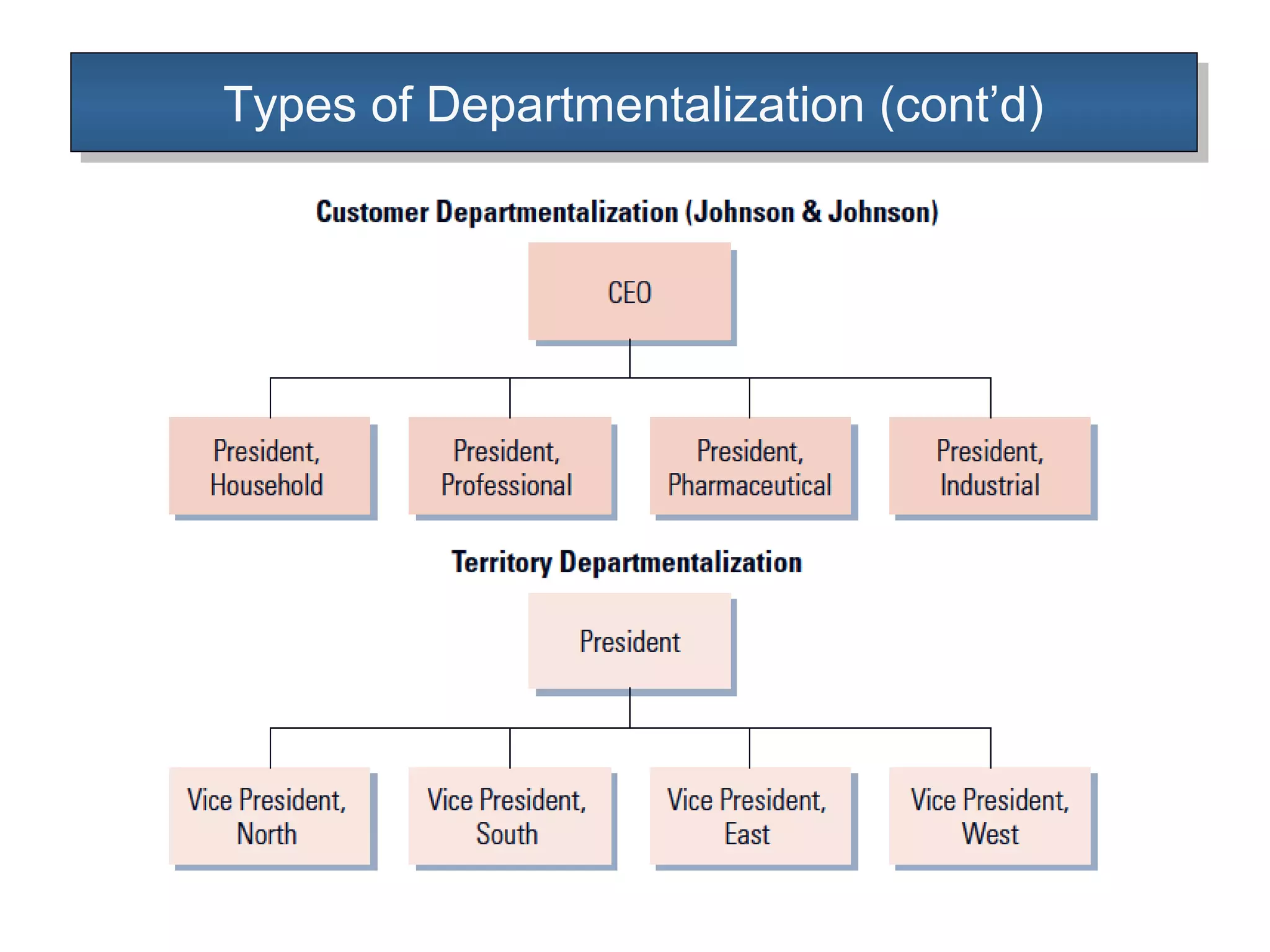 Types of Departmentalization (cont’d)Types of Departmentalization (cont’d)
 